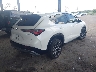 3HDSA1H5XSM****** Salvage and Wrecked 2025 Acura ADX in Florida State