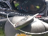 KL8CD6SA6LC****** Salvamento 2020 Chevrolet Spark en Estado de Virginia