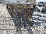 7M5FA3623NB****** Salvage 2022 Alliance RV Avenue in Washington State