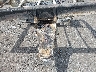 7M5FA3623NB****** Used 2022 Alliance RV Avenue in Spokane