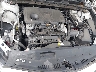 4T1K61BK1LU****** Repairable 2020 Toyota Camry in Long Island