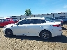 5XXGT4L30LG****** Repairable 2020 Kia Optima in Washington State