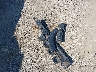 3FMCR9C62MR****** Wrecked 2021 Ford Bronco Sport in New York State