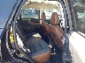 3FMCR9C62MR****** Wrecked 2021 Ford Bronco Sport in Buffalo