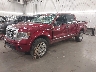 1FTFW1ET6DF****** Usados y Reparables 2013 Ford F-150 en Saint Cloud