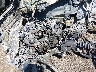 1FTRX12525F****** Repairable 2005 Ford F-150 in Phoenix