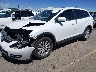 JM3TB38A890****** Usados y Reparables 2009 Mazda CX-9 en Denver East