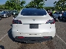7SAYGDED8SF****** Salvage 2025 Tesla Model Y