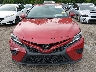 4T1G11BK1LU****** Destrozados 2020 Toyota Camry en Estado de Ohio