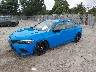 19XFL2H88PE****** Used and Repairable 2023 Honda Civic in Southern New Jersey