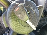 1J4GA39117L****** Salvage 2007 Jeep Wrangler in Nebraska State