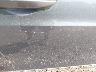 19UUB1F36KA****** Repairable 2019 Acura TLX