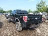 1FTFW1EV3AF****** Salvamento y Reparables 2010 Ford F-150 en Cleveland