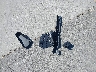 4T1DAACK1SU****** Wrecked 2025 Toyota Camry in California State
