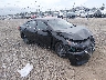 3N1AB8BV8RY****** Salvamento y Destrozados 2024 Nissan Sentra en Lafayette