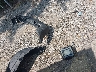 1C4HJXEG2KW****** Wrecked 2019 Jeep Wrangler in Indiana State