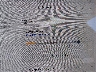 5YJ3E1EB8KF****** Repairable 2019 Tesla Model 3
