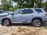 5FNYG1H77SB****** Salvamento 2025 Honda Pilot