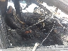 2T3W1RFV5SC****** Usados y Reparables 2025 Toyota RAV4 en Estado de Texas