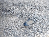 3G1BF6SM2HS****** Wrecked 2017 Chevrolet Cruze in Ohio State