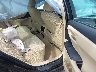 4T4BF1FK4GR****** Wrecked 2016 Toyota Camry in Lexington