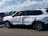 5XYP34HC3LG****** Salvage 2020 Kia Telluride