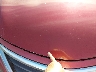 1N4AL3APXFN****** Used 2015 Nissan Altima in Texas State
