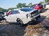 KNAG64J71T5****** Salvamento 2026 Kia K5