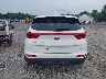 KNDPM3AC2K7****** Used 2019 Kia Sportage
