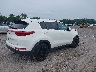 KNDPM3AC2K7****** Salvage and Wrecked 2019 Kia Sportage in New Jersey State