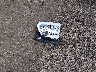 3FMCR9B61MR****** Wrecked 2021 Ford Bronco Sport in Illinois State