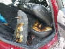 1G4PS5SK0D4****** Destrozados 2013 Buick Verano en Indianapolis
