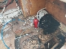 TNRD602***** Wrecked 1997 Formula Trailers Boat in Florida State