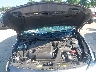 1N4AA6AV2KC****** Repairable 2019 Nissan Maxima in Saint Louis