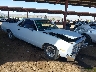 1GCCW80H4DR****** Salvamento y Destrozados 1983 Chevrolet El Camino en Phoenix