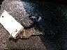 JF1GG61677H****** Salvage 2007 Subaru Impreza in New Hampshire State