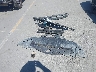 4T1K31AK3MU****** Wrecked 2021 Toyota Camry Hybrid in California State