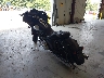 1HD1KTM11FB****** Salvage and Repairable 2015 Harley-Davidson FLTRXS in Greensboro