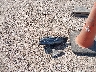 1C4RJKBG0P8****** Salvage 2023 Jeep Grand Cherokee Limited in Texas State