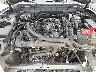 1FMEE5DP9NL****** Repairable 2022 Ford Bronco in Fort Myers