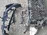 SHHFK7H56HU****** Wrecked 2017 Honda Civic in California State
