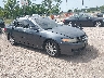 JH4CL96816C****** Salvamento y Destrozados 2006 Acura TSX en Jacksonville