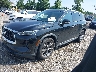 5N1DL1FS9PC****** Usados y Reparables 2023 Infiniti QX60 en Southern New Jersey