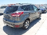 1FMCU9G99EU****** Salvage and Wrecked 2014 Ford Escape in Texas State