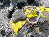 3JBMGAV46KJ****** Repairable 2019 Can-Am Renegade in Rec Rides Online Exclusive
