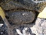 3JBMGAV46KJ****** Wrecked 2019 Can-Am Renegade in Rec Rides Online Exclusive