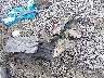 JM1DKFC70H0****** Wrecked 2017 Mazda CX-3 in South Carolina State