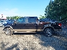 1FTFW1ET5DK****** Salvage 2013 Ford F-150
