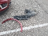 1GYKNCRS4HZ****** Wrecked 2017 Cadillac XT5 in Tennessee State