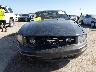 1ZVHT80N695****** Destrozados 2009 Ford Mustang en Estado de Texas